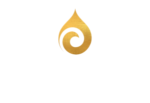 logo anticip