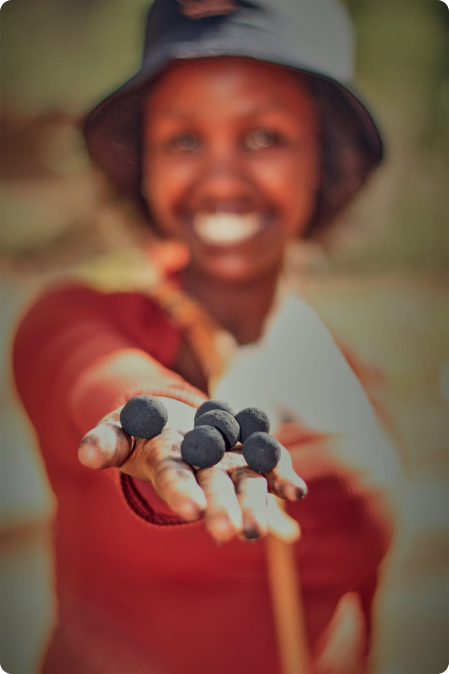 femme seedballs kenya